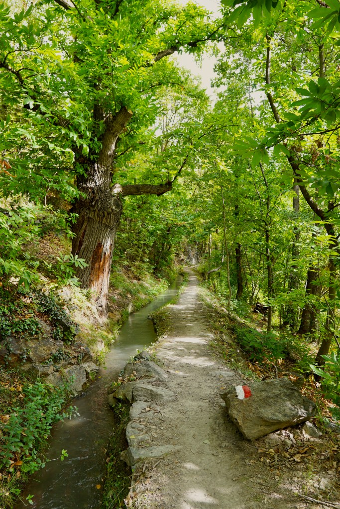 Waalweg im Vinschgau