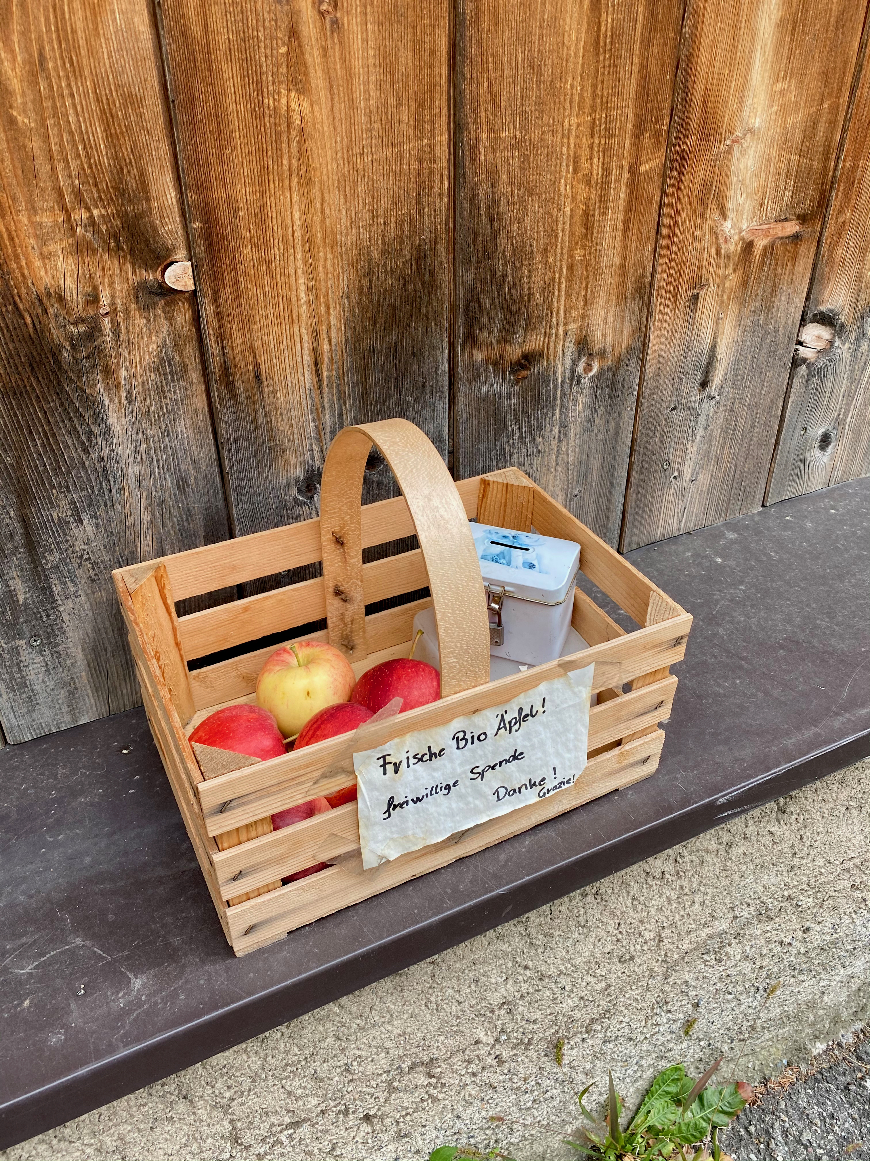 Äpfel im Korb am Waalweg im Vinschgau